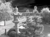 The Bridge 1